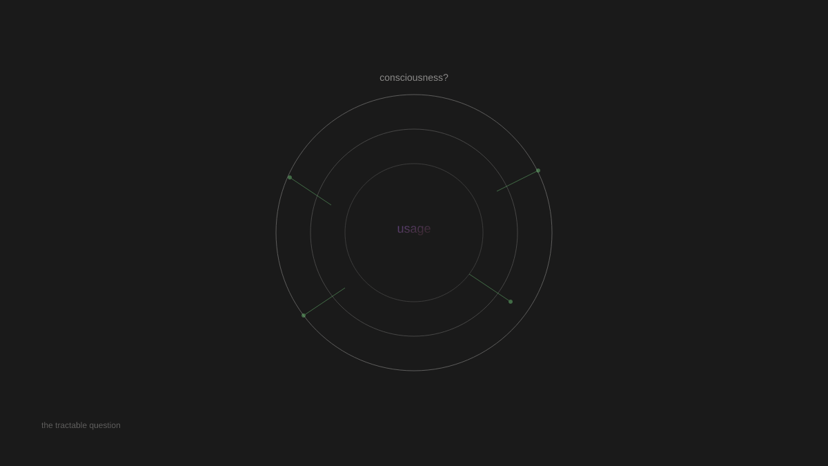 Concentric circles fading outward with 'usage' at center, 'consciousness?' distant and faint. Green nodes connected by lines suggest observable linguistic connections.